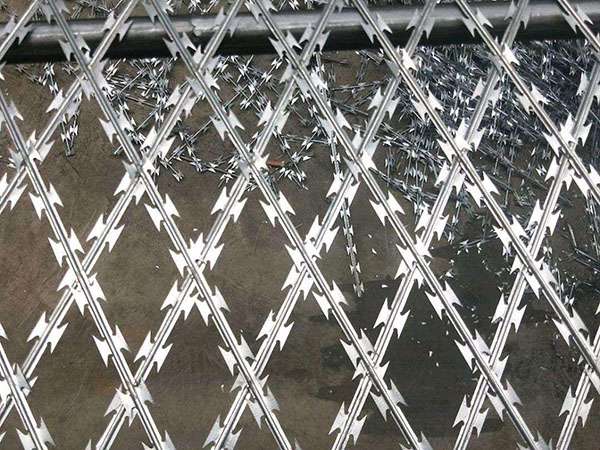 衡州监狱刀片焊接网护栏案例图片4